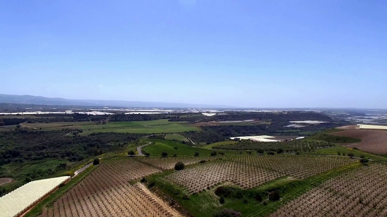 9 giugno. Visita guidata nei vigneti e nelle cantine